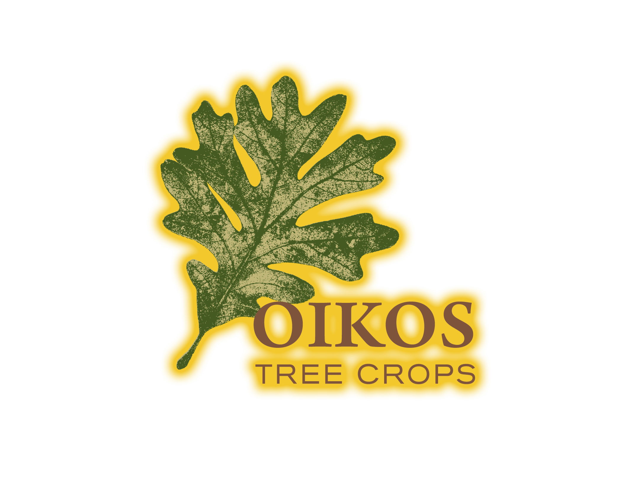 Seeds OIKOS Tree Crops